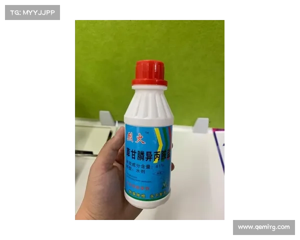 GEA进博首发丨《替代蛋白 绿色未来》新食品解决方案 GEA进博首发丨《替代蛋白 绿色未来》新食品解决方案